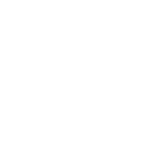 Social Icon_Instagram