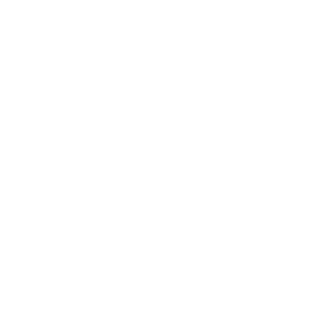 Social Icon_X